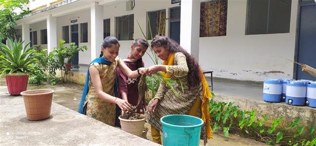 NSS Activities